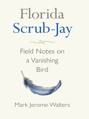 cover image of Florida Scrub-Jay
